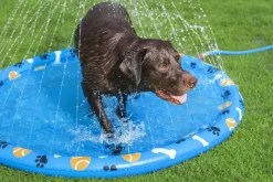 Bestway Fetchin' Fun plaskedug