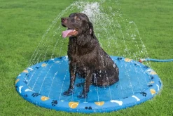 Bestway Fetchin' Fun plaskedug