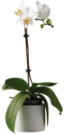 Fleksibel line 5 meter - Garden®