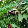 Fuglenet 8 x 8 meter - Garden®