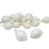 Grønne Fingre® stikløg salatløg Snowball 250 g