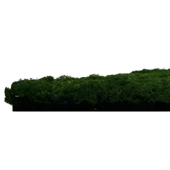 Jangal Modular Wall mospanel 52 x 52 cm - Dark Green