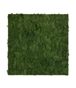 Jangal Modular Wall mospanel 52 x 52 cm - Dark Green