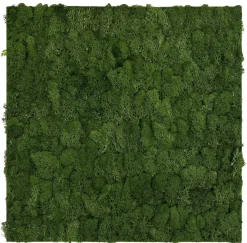 Jangal Modular Wall mospanel 52 x 52 cm - Dark Green