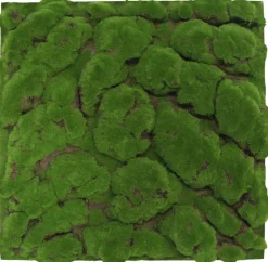 Jangal Modular Wall mospanel 52 x 52 cm - Dark Green Bulk