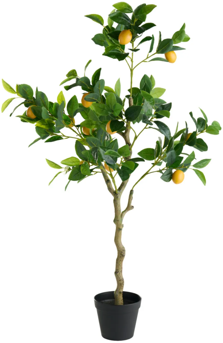 Kunstigt citrontræ 120 cm