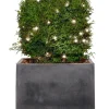 Lyskæde Basis 50 LED 4,9 meter