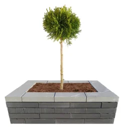 Murblok Nordic Wall grå 60 x 30 x 12 cm