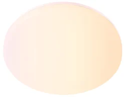 Plafond Ø28 cm 18 W RGB wi-fi