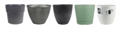 Plastkrukke assorteret