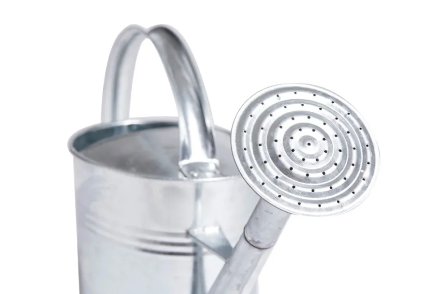 Vandkande 7 liter zink - Garden®